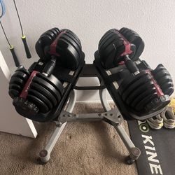 Bowflex SelectTech 552 Dumbbells 