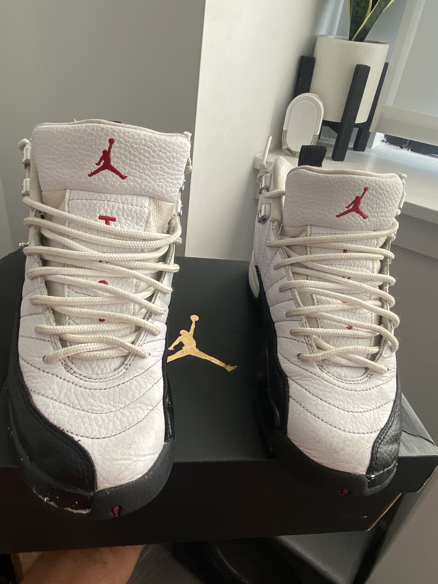Jordan 12 Size 5Y