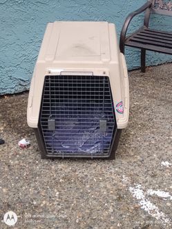 Dog kennel