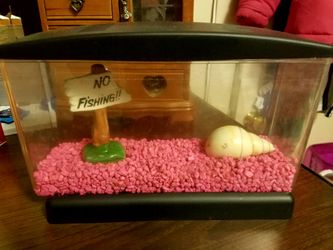 Betta Fish Tank