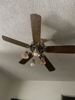 Ceiling Fans