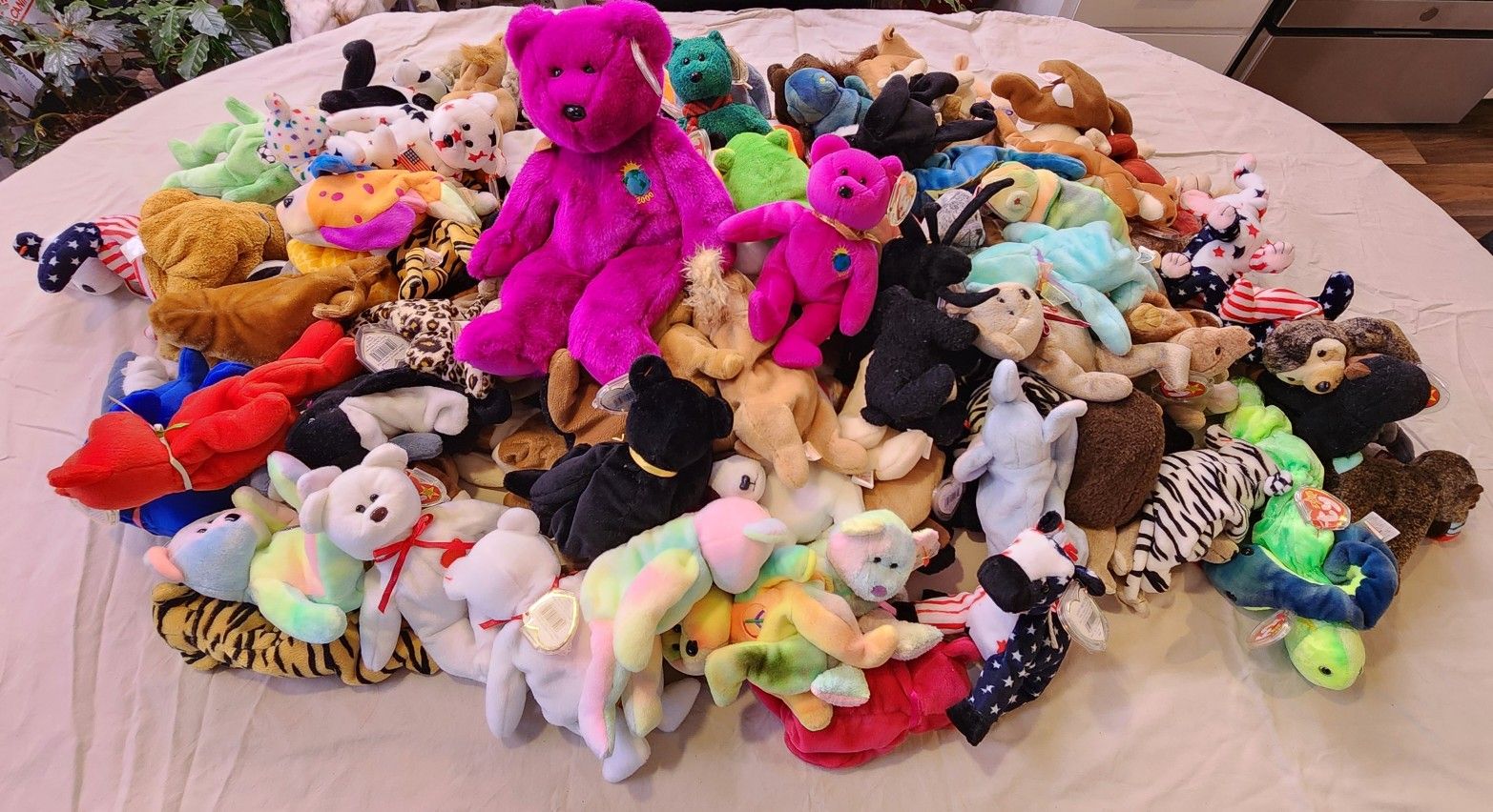 Beanie Babies Galore