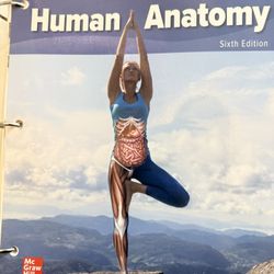 Human Anatomy McKinley Sixth Editon College Book