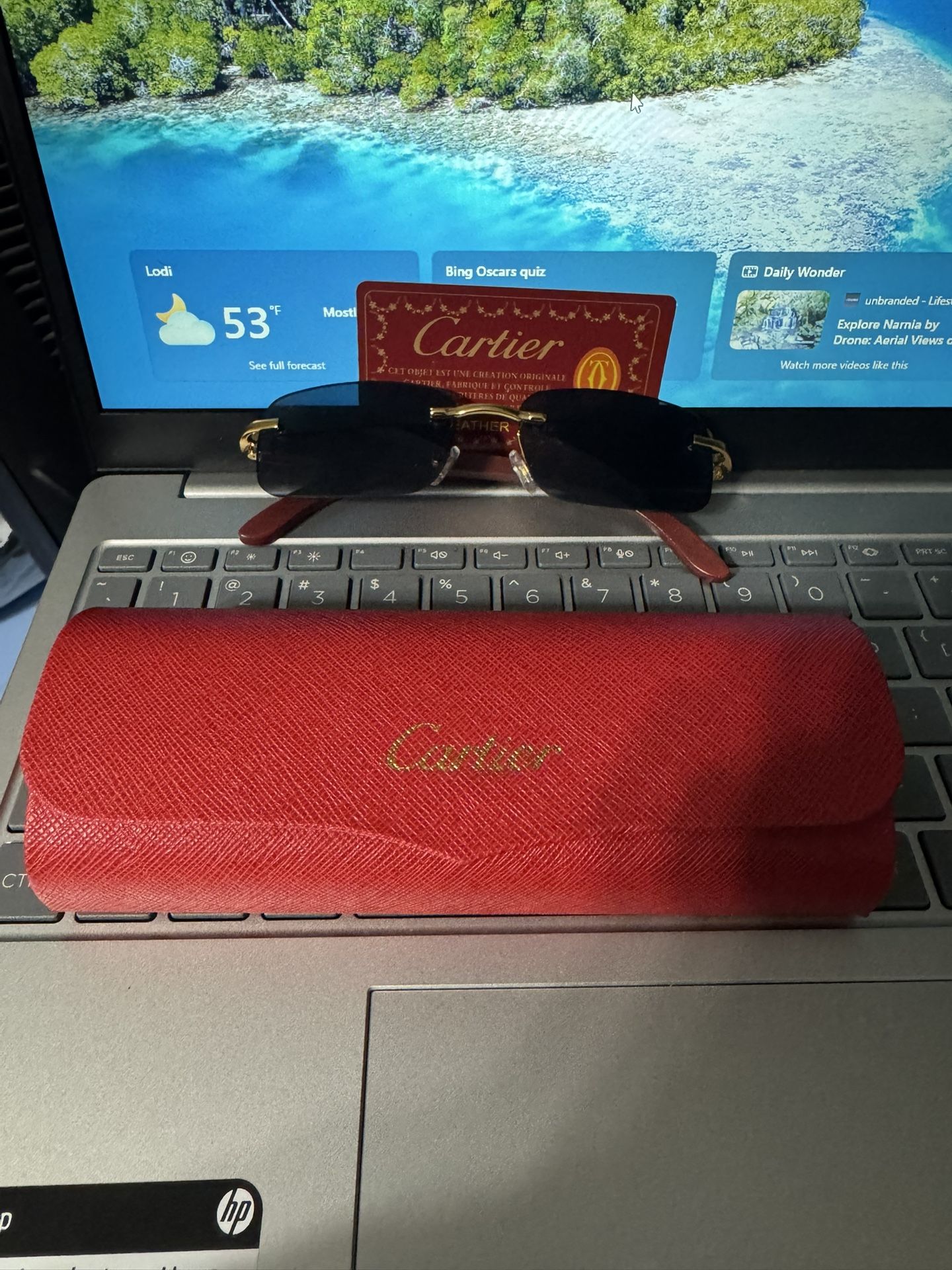 Cartier Sunglasses