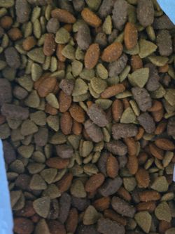 Dog Food Kibbles