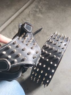Spiked Collar And Harness
