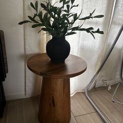 Wooden Small Table w/ Plant