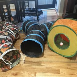 Cat Tunnel