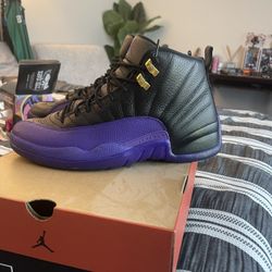 Air Jordan 12 Retro Court Purple 