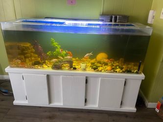 Acrylic 100 gallon tank