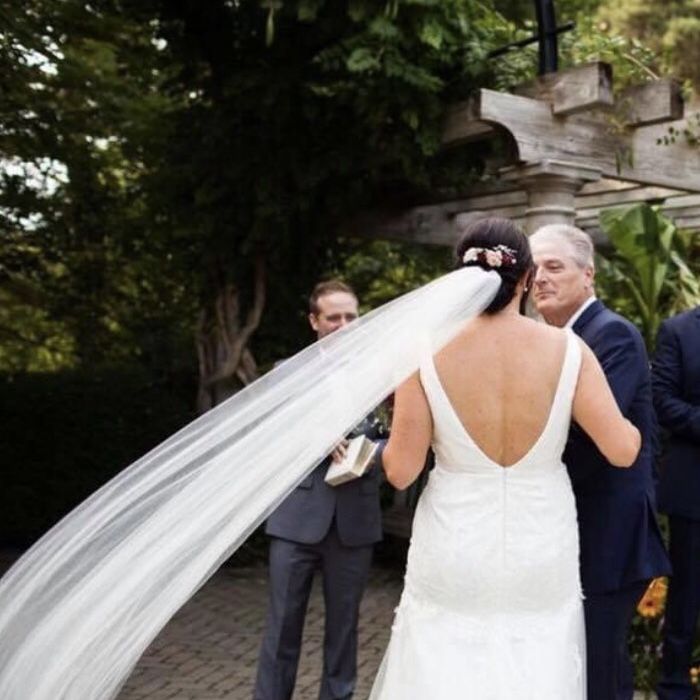 Wedding Dress And Veil
