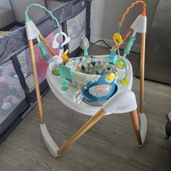 Activity Centre Baby Evenflo Feeding Exersaucer Woodland