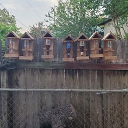  Beer Bottle Bird Feeders 🐦 $15 Each And Birds House $15each Squirrel Picnic Table $15 each 