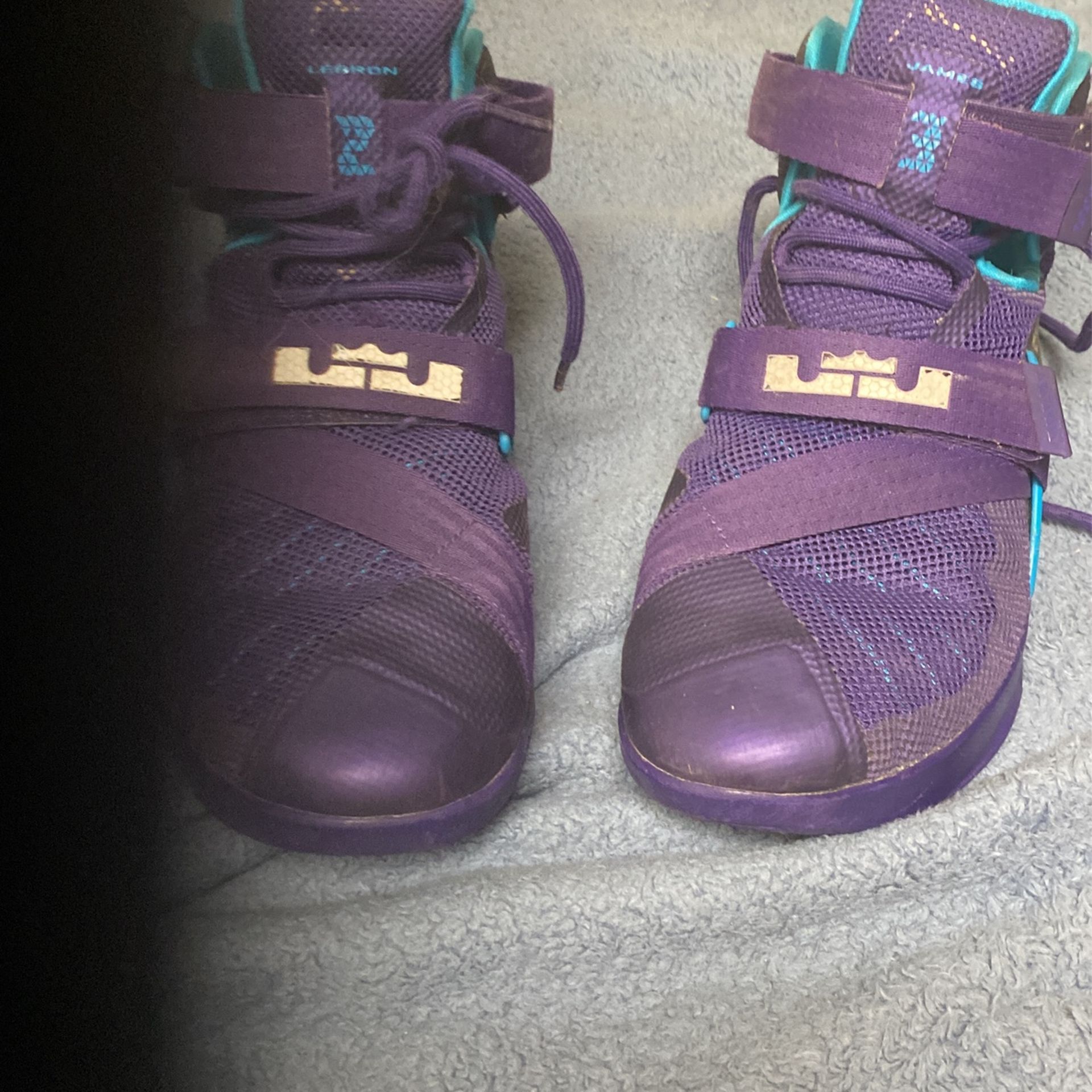 Lebron Zoom Soliders