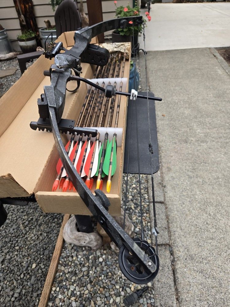 Older Hoyt With A Dozen Easton Arrows