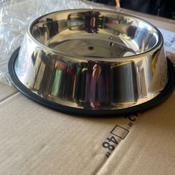 Dog Bowl