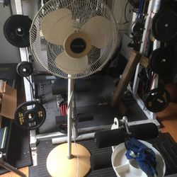 Rotating Fan