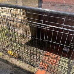 Dog Kennel 