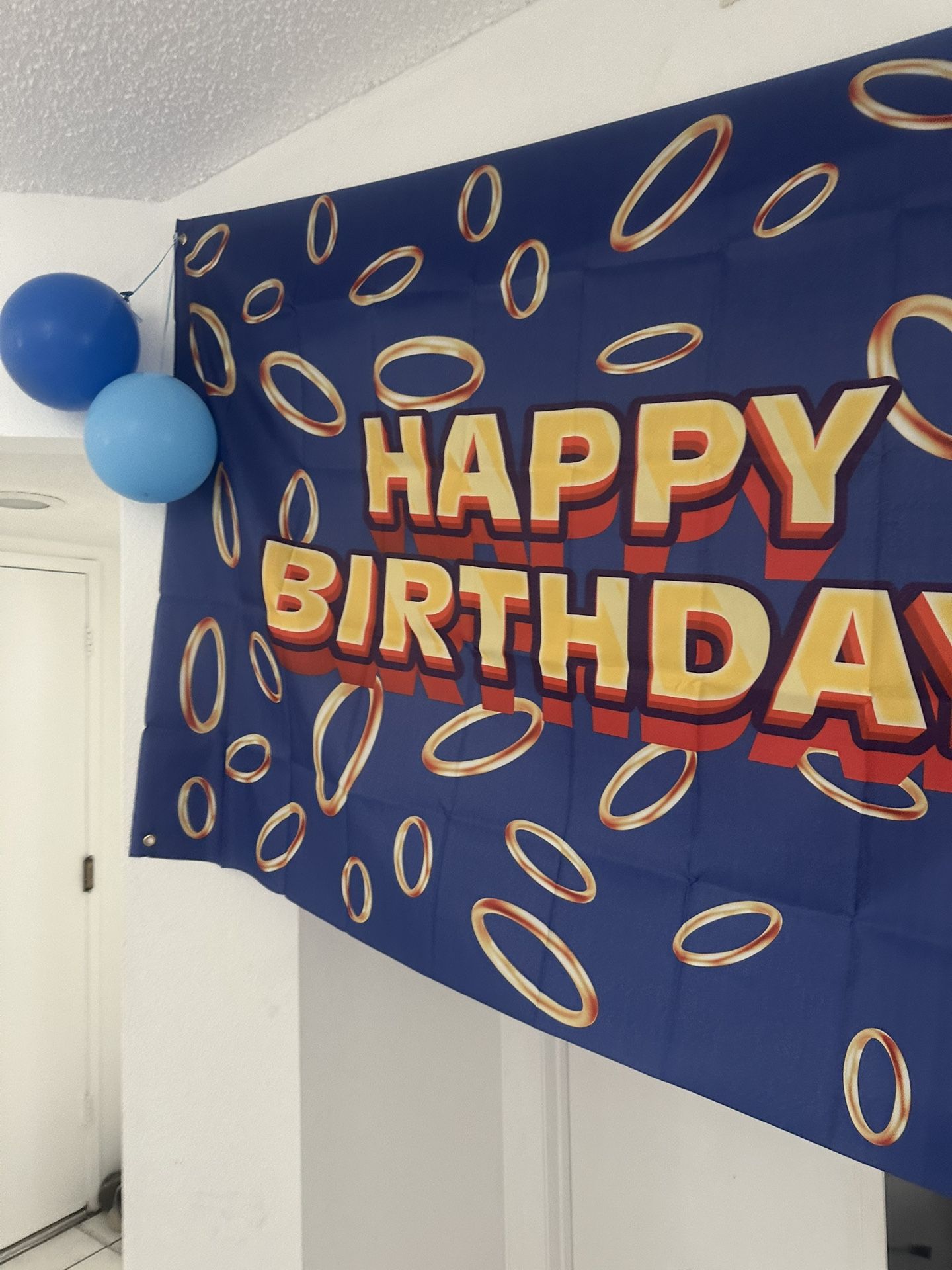Sonic Banner