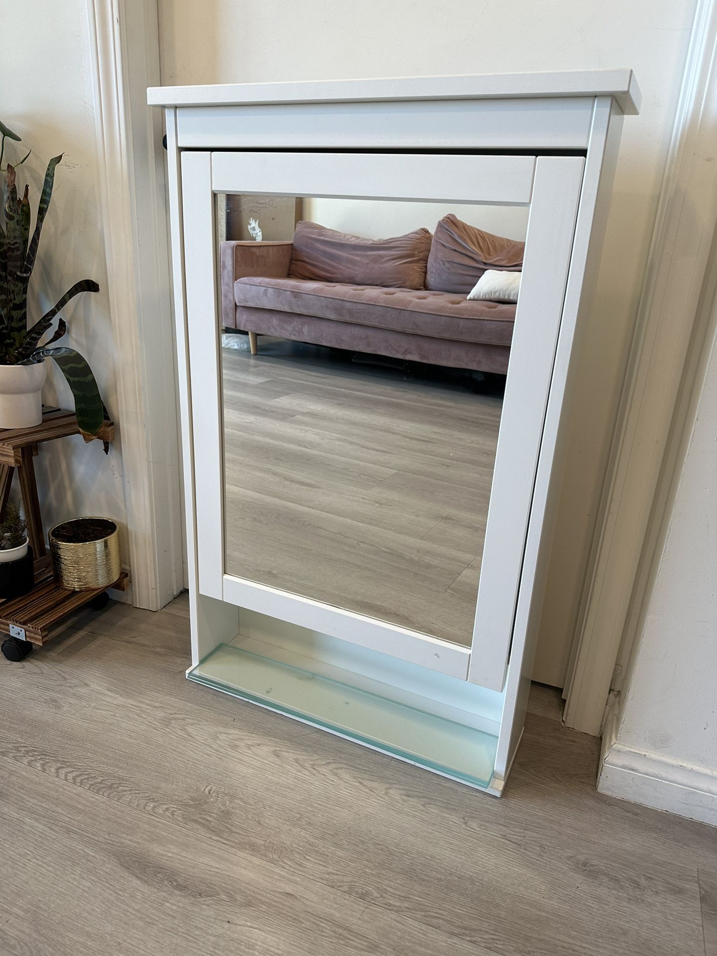 Cabinet Organizer