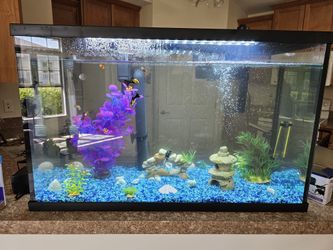 39 Gallon Fish Tank