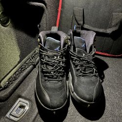 Nike Air Jordan 12 Retro Nubuck Sz11 Authentic Used Aj12 01/14/09  Vtg No Box