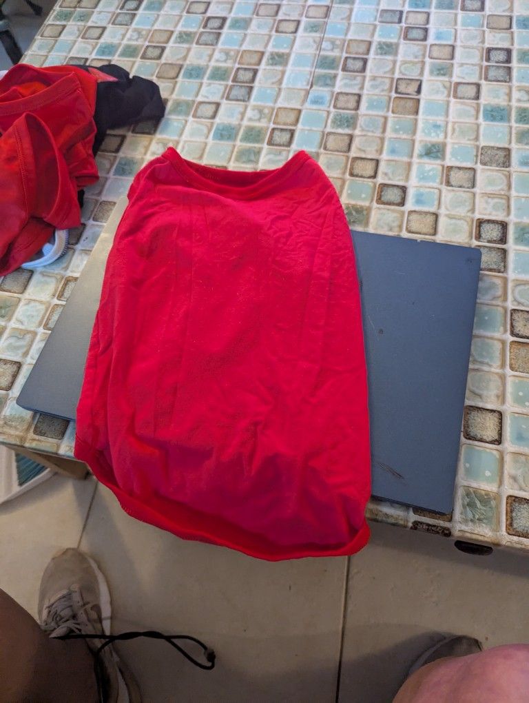Small To Medium Red T Shirt For A Dog
