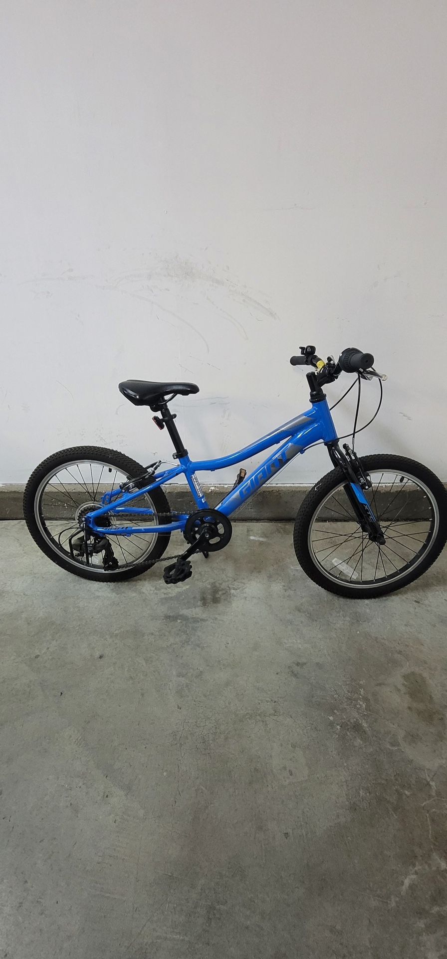 Blue Giant Mountain Bike 16in Wheel