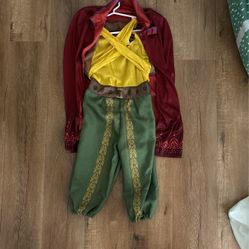 Disney Raya Costume
