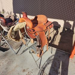 SADDLE KING FOR SALE 