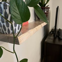 Live Edge Floating Shelf