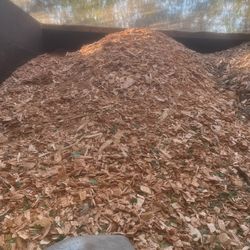 Free Wood Chips