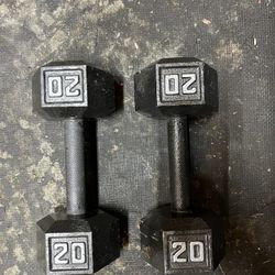 20 Pound Dumbbells 