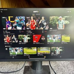Dell P2419HC Adjustable computer monitor 24”