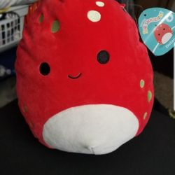 Dolan Squishmallow