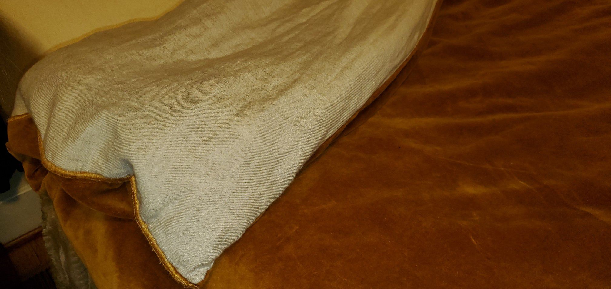 Twin size comforter & duvet