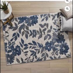 Area Rug $45 OBO