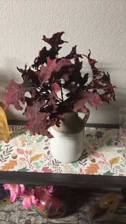 Flower Pot