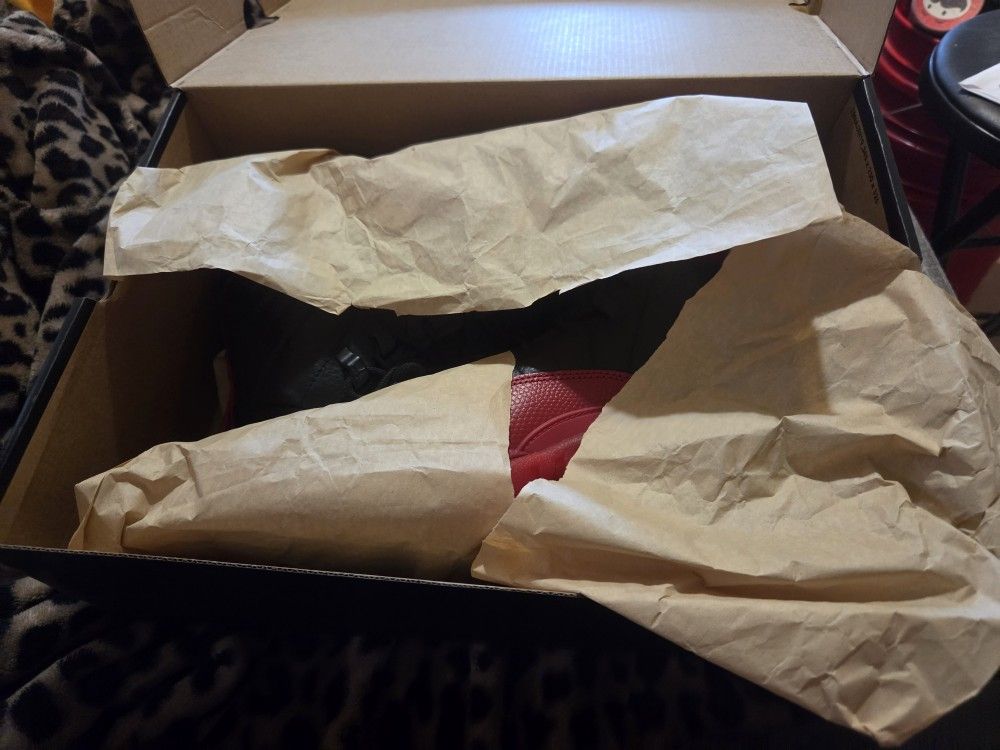 Jordan retro 12 flu game
