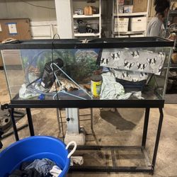 55 Gallon Fish Tank