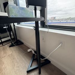 Adjustable Speaker Stands (pair)