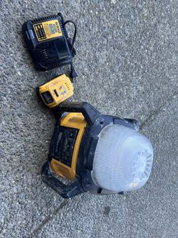 DEWALT Cordless Site Light: 20V MAX*, Bare Tool, 5,000 lm Max., 
