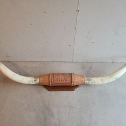 Long Horns