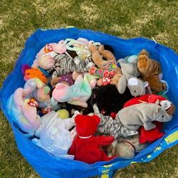 Big Lot Of TY Beanie Babies 