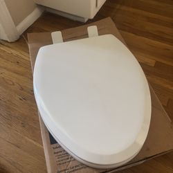 Toilet Seat