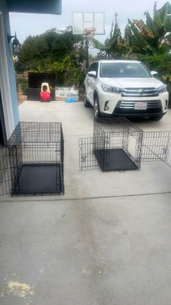 Two large dog crates