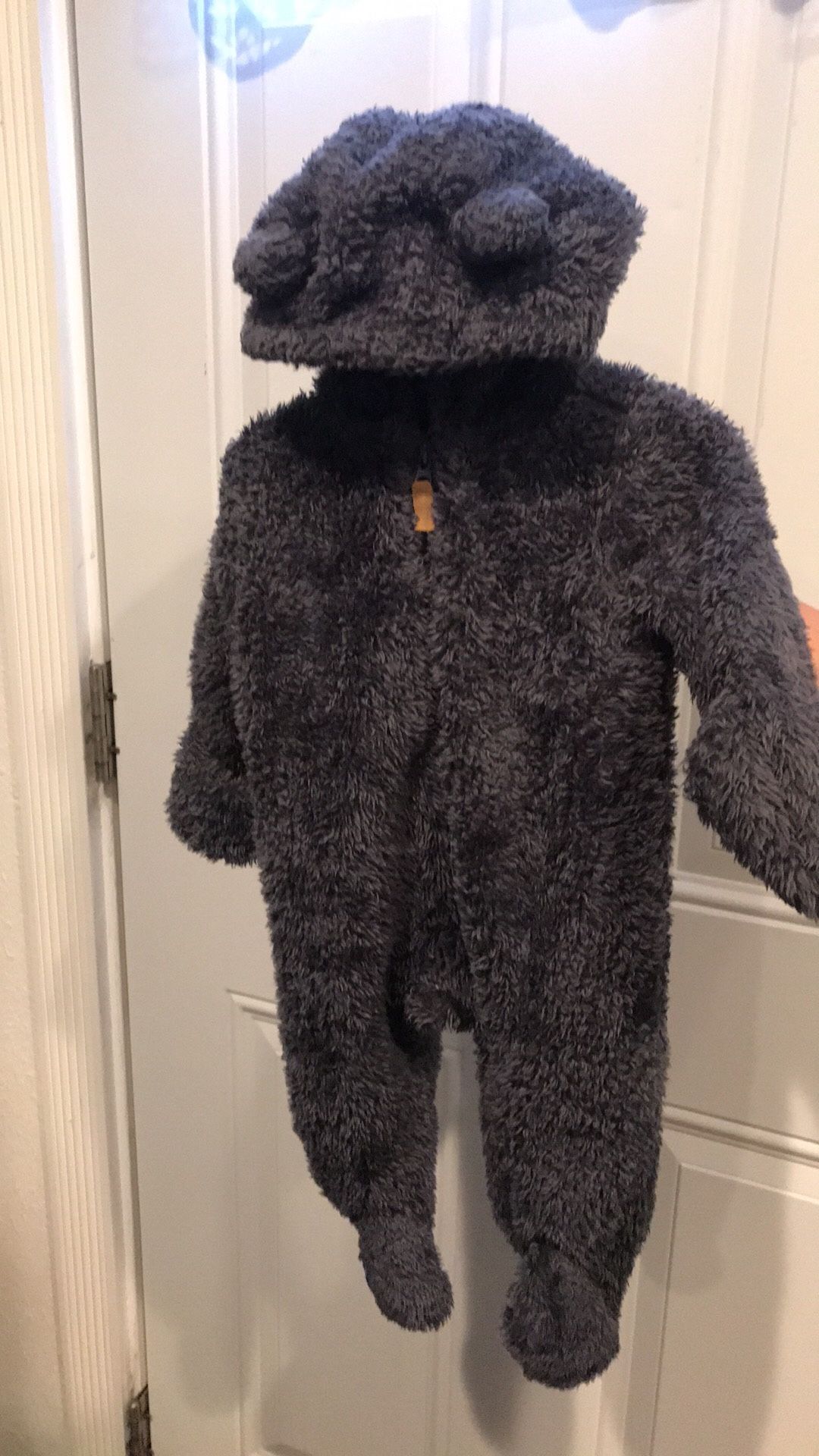 Teddy Bear Suit