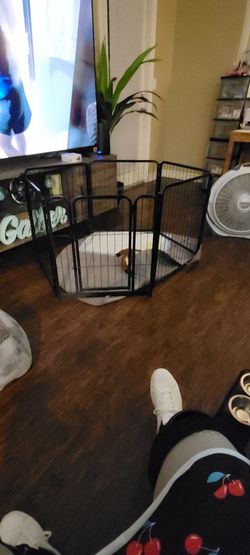24" Dog Play-Pin  6 panel