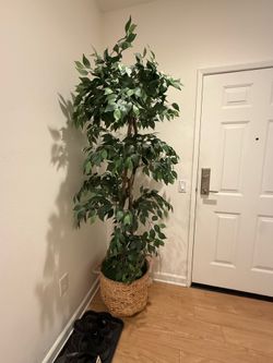FAUX 7ft OLIVE TREE