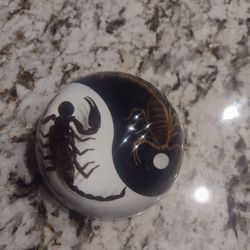 Scorpion Yin Yang Paperweight